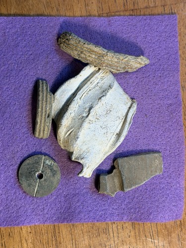 Civil war artillery lot fuse - war,